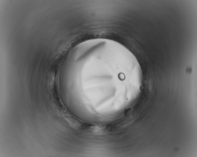 X0000112460660200909071110