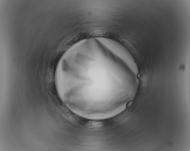 X0000112460665200909071111