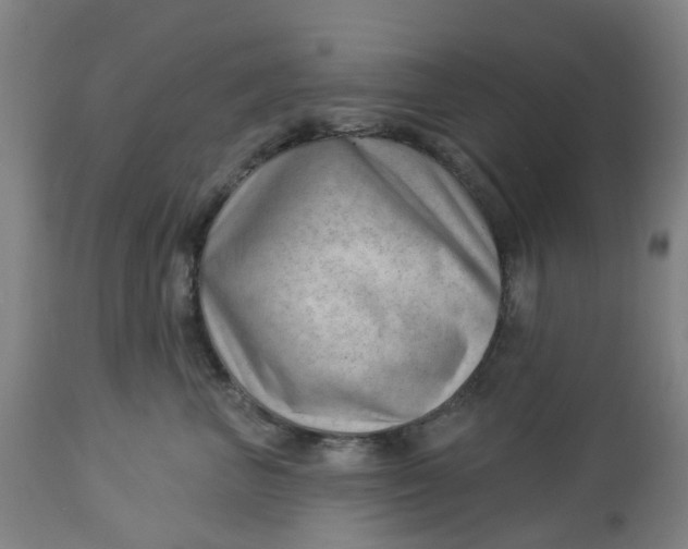 X0000112460667200909071111