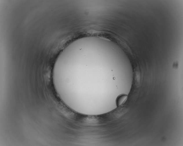 X0000112460668200909071111