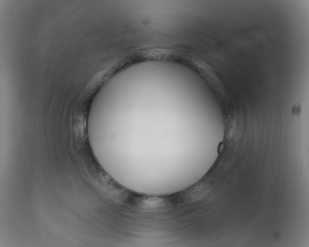 X0000112460669200909071111