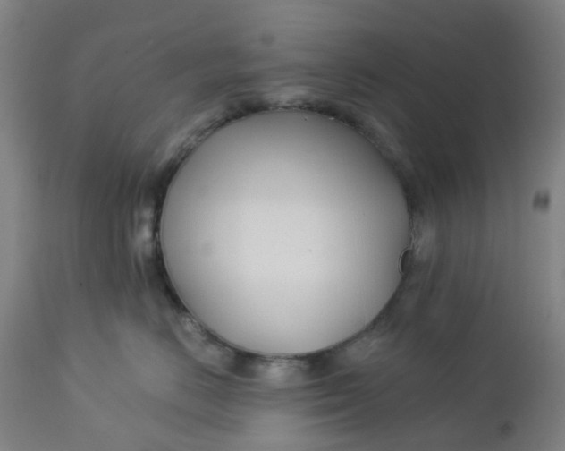 X0000112460670200909071111