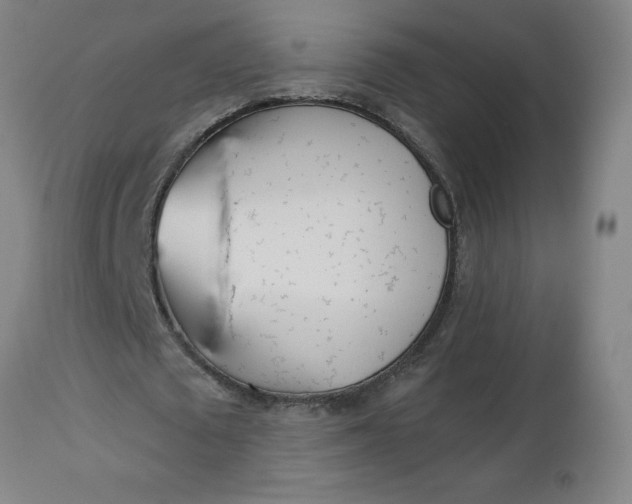 X0000112460673200909071110