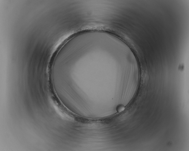 X0000112460674200909071110