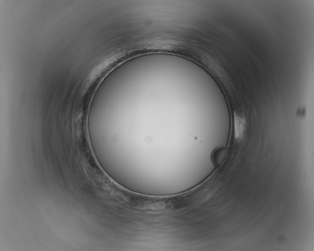 X0000112460675200909071110