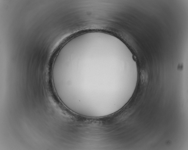 X0000112460676200909071110