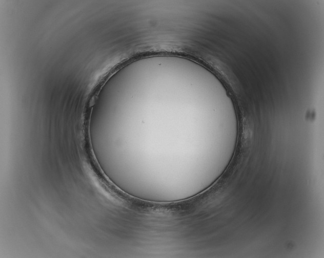 X0000112460677200909071110