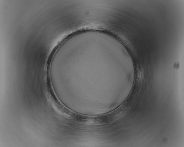 X0000112460678200909071110