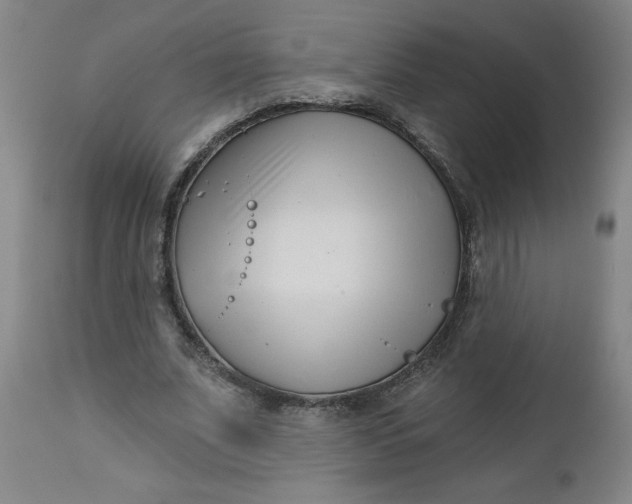 X0000112460679200909071110