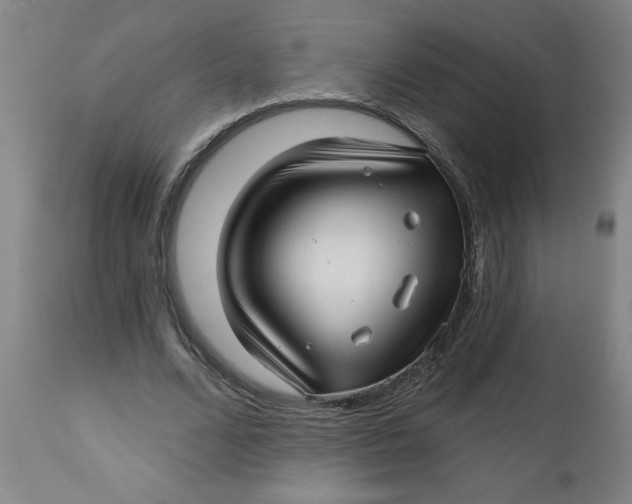 X0000112460680200909071110