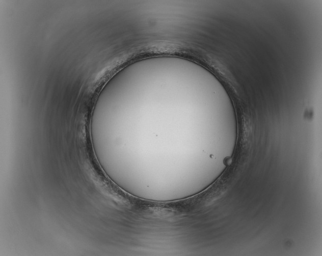 X0000112460681200909071110