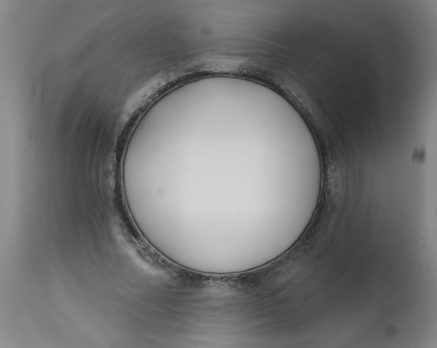 X0000112460682200909071110