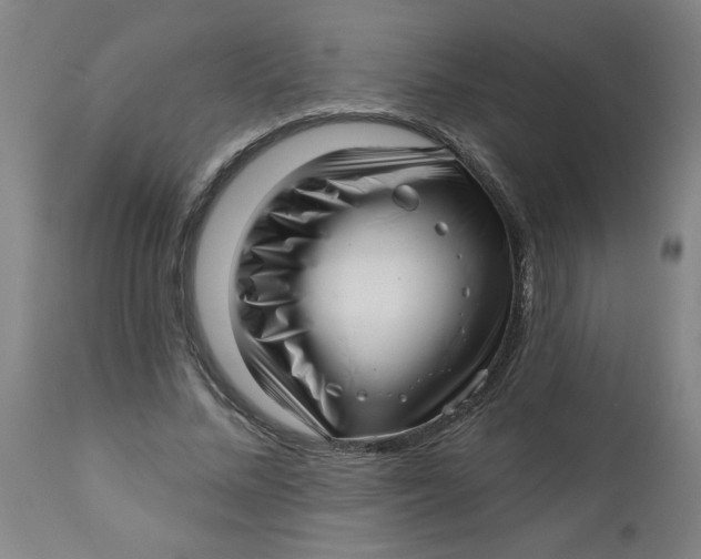 X0000112460684200909071110