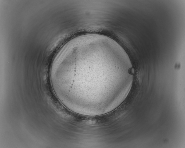 X0000112460687200909071110