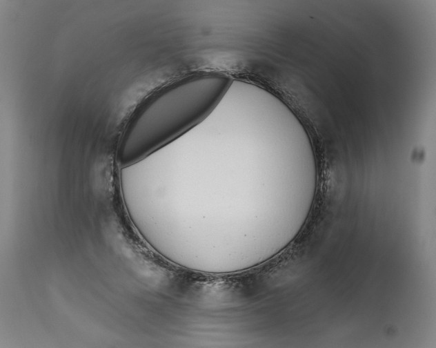 X0000112460688200909071110