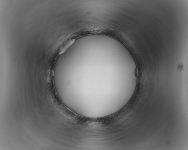 X0000112460689200909071110