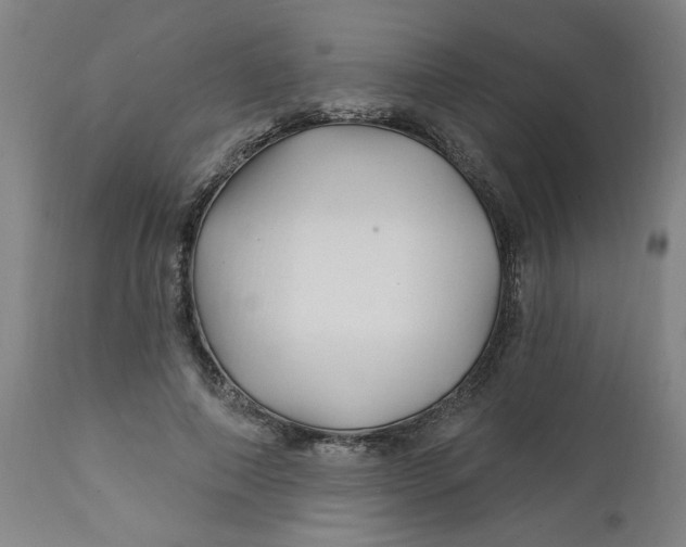 X0000112460690200909071110