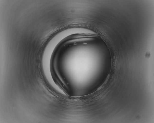 X0000112460692200909071110