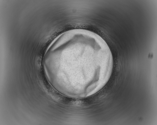 X0000112460695200909071110