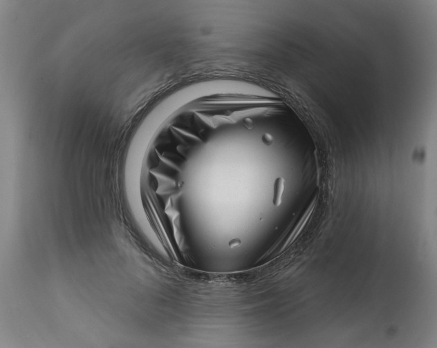 X0000112460696200909071110