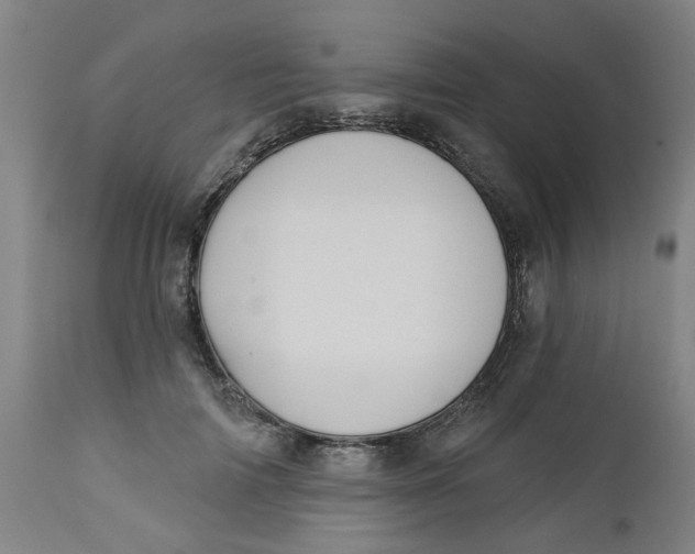 X0000112460698200909071110