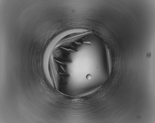 X0000112460700200909071110