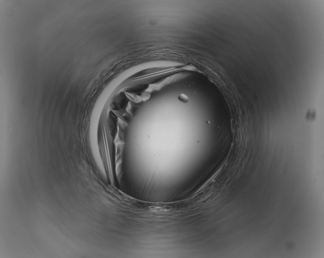 X0000112460701200909071110