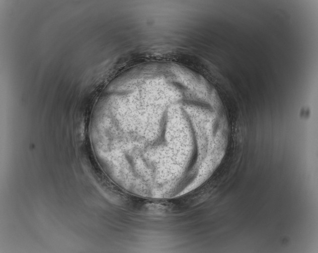 X0000112460703200909071110