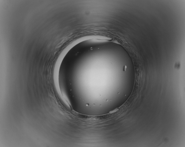 X0000112460704200909071110