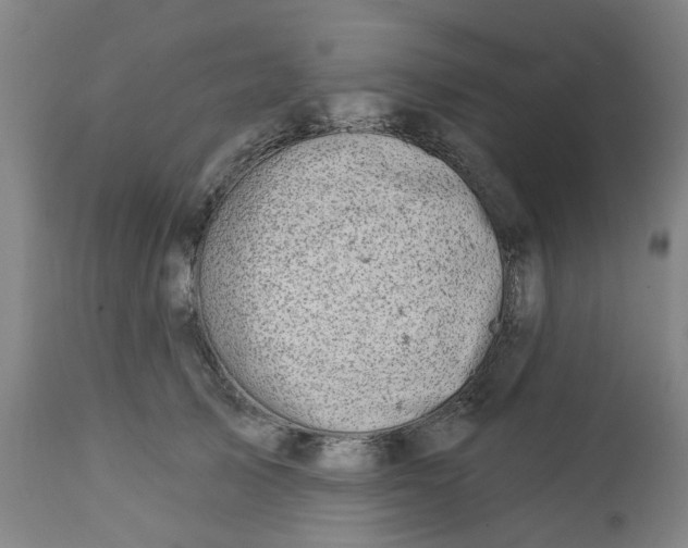 X0000112460705200909071110