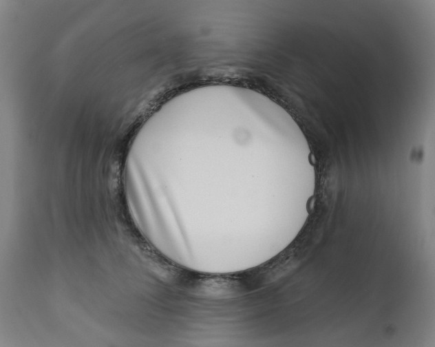 X0000112460708200909071110