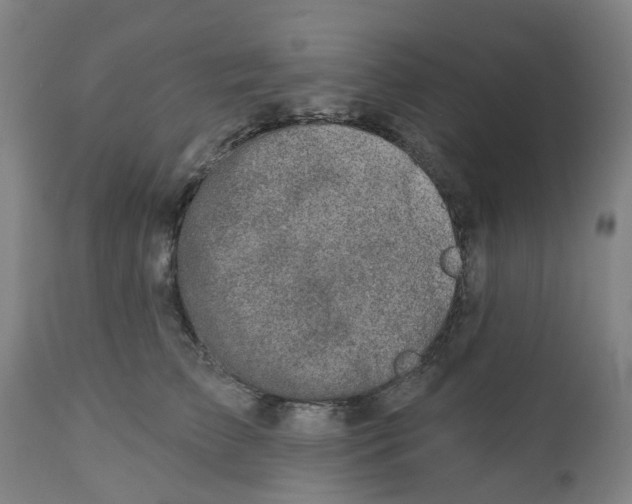 X0000112460709200909071110