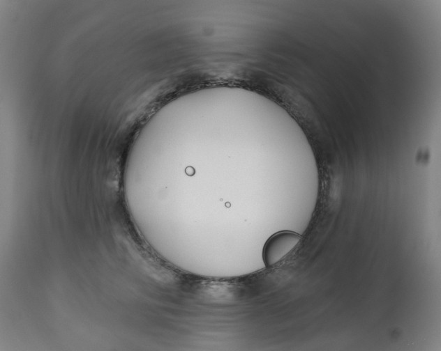 X0000112460710200909071109