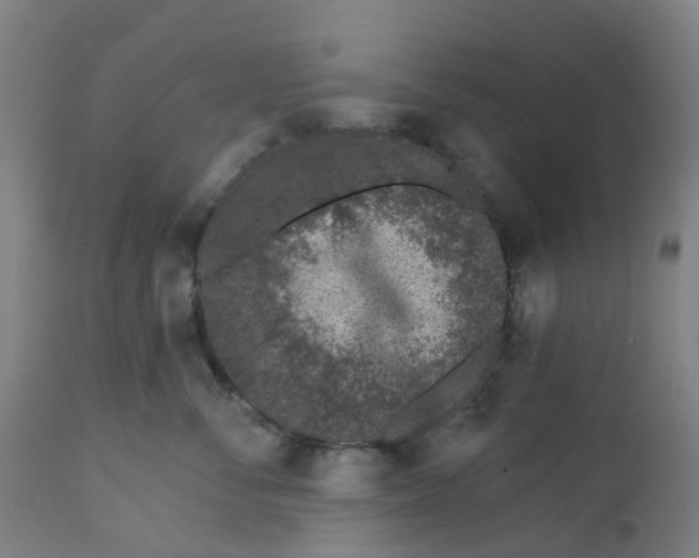 X0000112460716200909071109