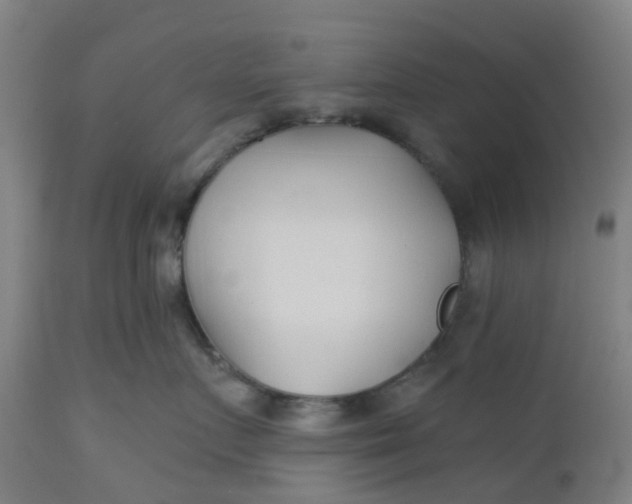 X0000112460719200909071109