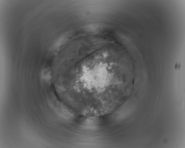 X0000112460720200909071109