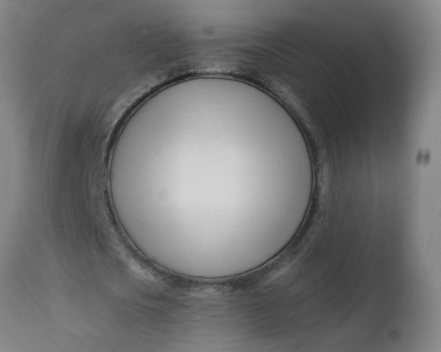 X0000112460721200909071109