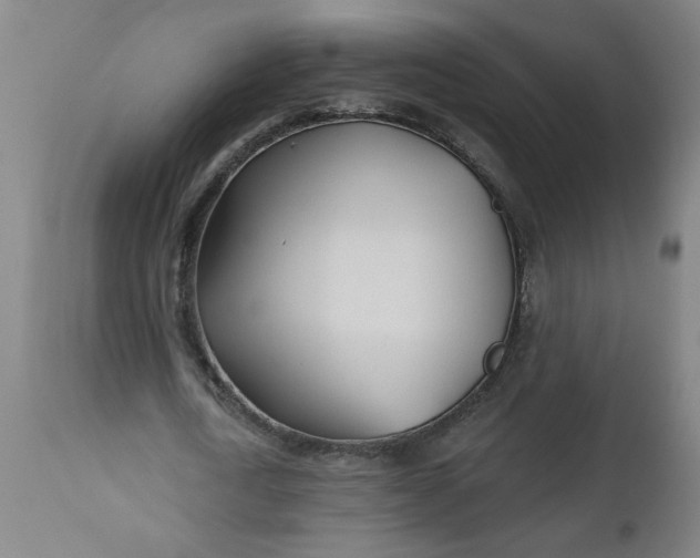 X0000112460722200909071109