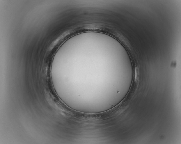 X0000112460723200909071109