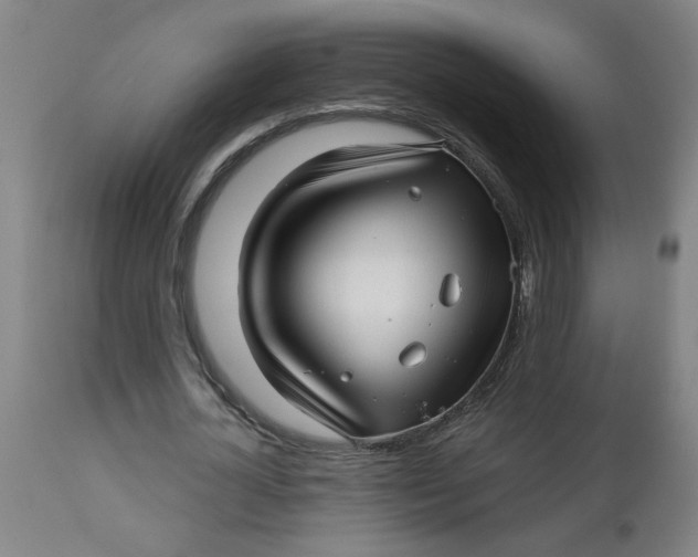 X0000112460724200909071109