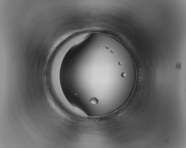 X0000112460726200909071109