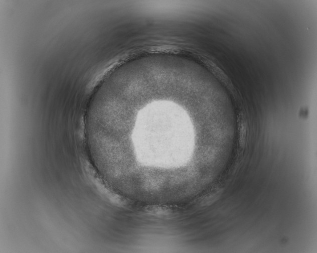 X0000112460729200909071109