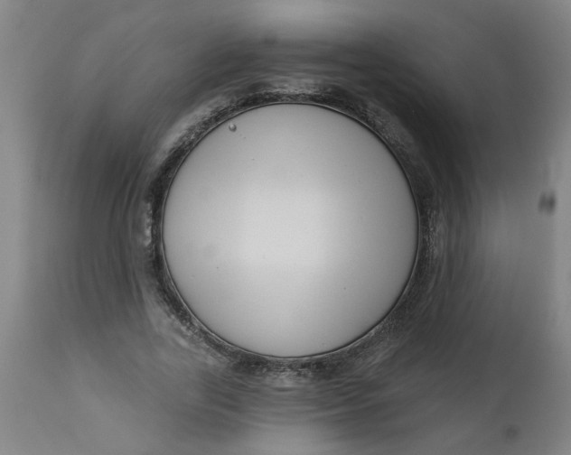 X0000112460731200909071109