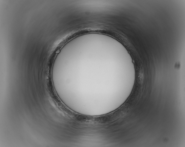 X0000112460732200909071109