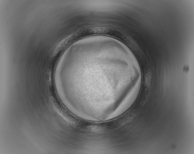 X0000112460733200909071109