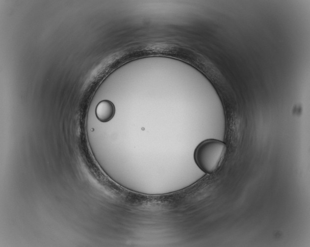 X0000112460734200909071109