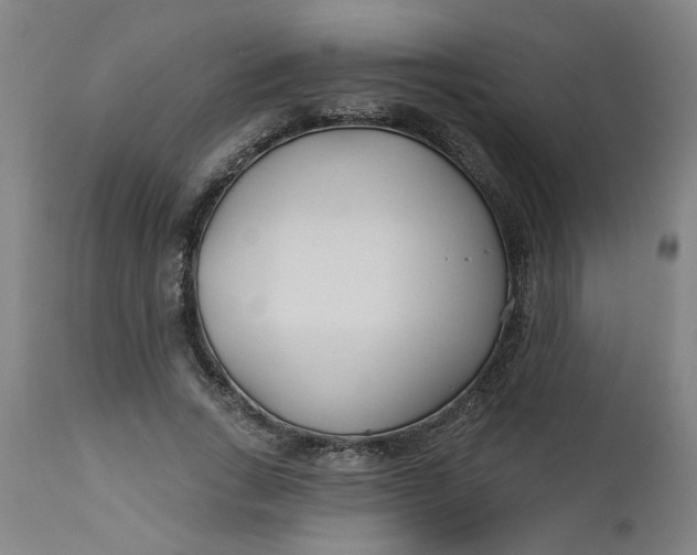 X0000112460735200909071109