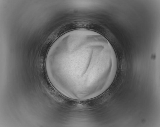 X0000112460737200909071109