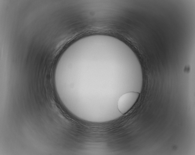 X0000112460740200909071109