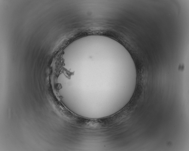 X0000112460742200909071109